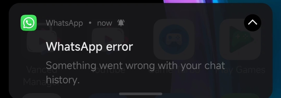 WhatsApp Error